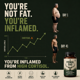 Primal Dad Natural Testosterone Booster
