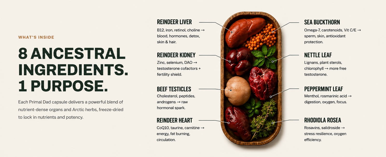 8 Ancestral Ingredients. One Job: Your Manhood.