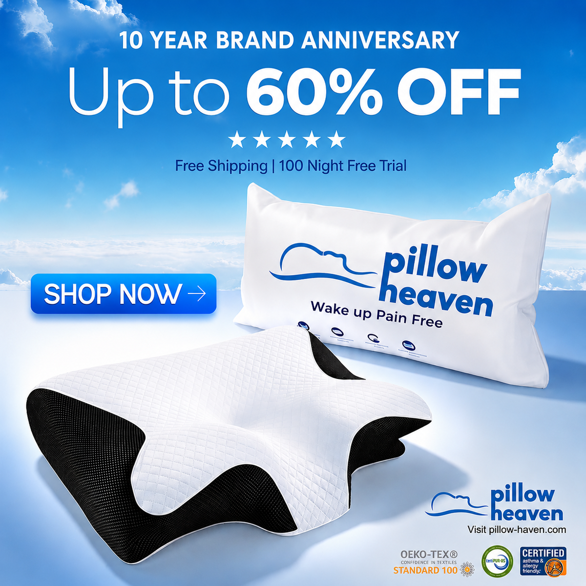 The Pillow That Ends Neck Pain - By Fixing Your Sleep Posture | 10 Year Sale 60% OFF